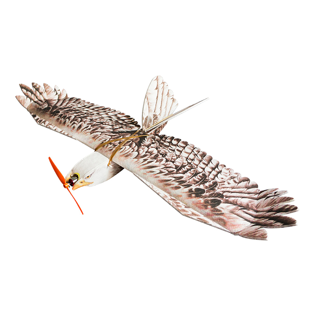 Dancing-Wings-Hobby-E15-Biomimetischer-Mini-Adler-mit-1200mm-Spannweite-aus-EPP-Schaum-RC-Segelflugz-1996760-2